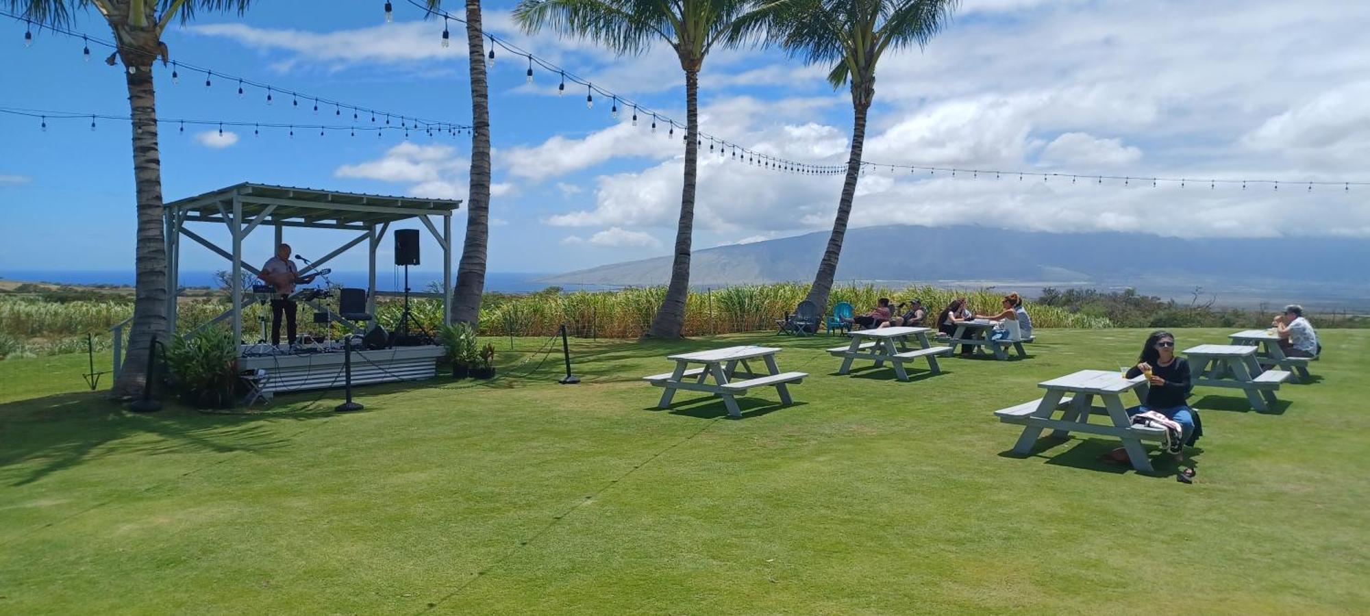 Campcar Maui Jeeps Suvs Hybrid Camper Van Rentals With Equipment And Travel Advice Кахулуї Екстер'єр фото